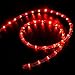 WYZworks 1116LEDs 100ft LED Outside Rope Lights, Outdoor ETL Certified Waterproof Permanent 360 Degree Light Emitting, Flexible Tube, Connectable, Christmas Palm Tree Exterior Landscape, Red