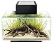 Fluval EDGE Aquarium Kit, Aquarium with LED Lighting and 3-Stage Filtration System, 6 Gallons, Black, 15385A1