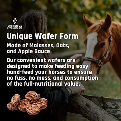 Majesty's Flex XT Wafers - Superior Horse / Equine Joint Support With Increased Supplement Levels - Glucosamine, MSM, Yucca, Vitamin C - 60 Count (2 Month Supply)