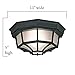 Designers Fountain 2067-BK Builder Cast Outdoor Flush Mount Ceiling Light, 10.5 in W, Black