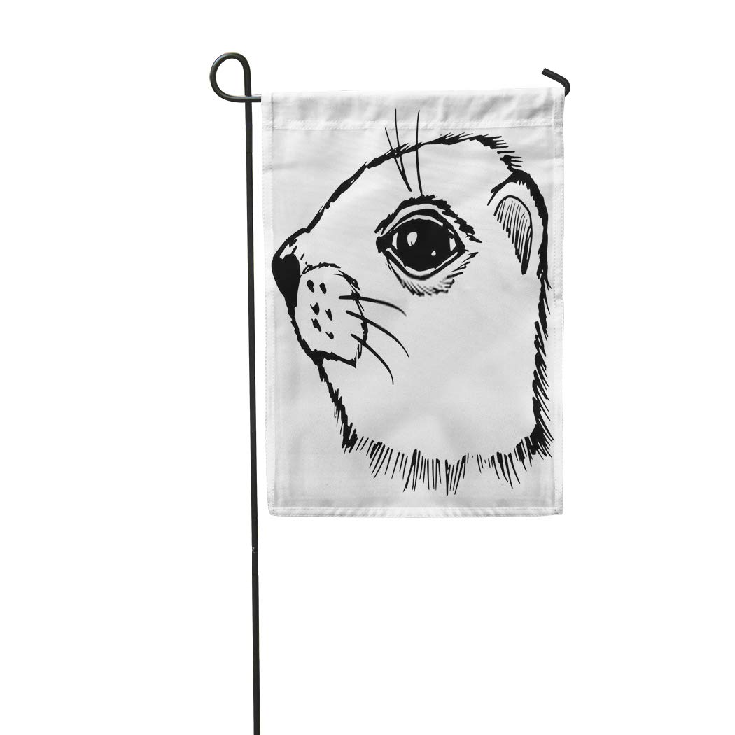 Meofo Groundhog Day Garden Flag Double Sided Gopher Realistic Drawing Fun Pop Art Soft Durable Outdoor Banner Courtyard Farm Home Yard Lucky Corridor Decoration 12 X18 Amazon In Garden Outdoors
