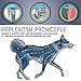 PEROZEK Flea Tick Prevention Dogs - 8 Month Protection Collar - Essential Oil, Allergy Free Tick Control - One Size FitS All - Water ResistanT Flea Tick Colla