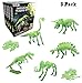 5 Pack - 3D Glowing Dinosaur Fossil Puzzles - Glow in The Dark Dino Skeleton Model Toys - Kids Archaeology Kits Party Favors (10-Inches)