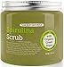 Spirulina Exfoliating Body Scrub, 100% Natural with Organic Hawaiian Spirulina Powder, Blue Green Algae Superfood Antioxidant Scrub for Face & Body - by Pure Body Naturals, 12 Ounce