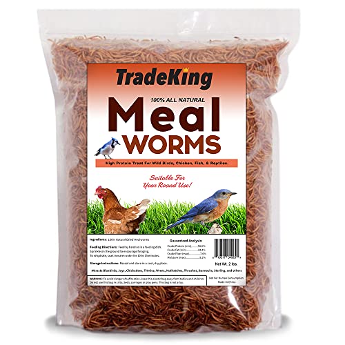 TradeKing 2 lb Dried Mealworms - High Protein Treat for Wild Birds, Chicken, Fi…