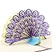 Paper Spiritz Peacock Pop up Cards Birthday, Mother's Day Cards, Anniversary Thank You Card for Husband Daughter Wife, Handmade Graduation Sympathy Blank Card, Laser Cut with Envelopes All Occasion