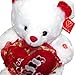 Valentine's Teddy Bear (15