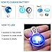 beslove 6Pcs Clip-On Pet Cat Dog Collar LED Lights, Upgraded Weather Resistant Shockproof LED Safety Night Walking Light, ID Tag and 12Pcs Batteries Included