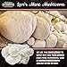 Grow Your Own Lion’s Mane Mushroom Kit – 10lb Commercial Grade Kit – Fully Colonizedthumb 3