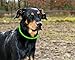 Akatie LED Dog Collar USB Rechargeable Glowing Pet Dog Collar Light for Night Safety Water Resistant Flashing Light Up Collars for Small Medium Large Dogs