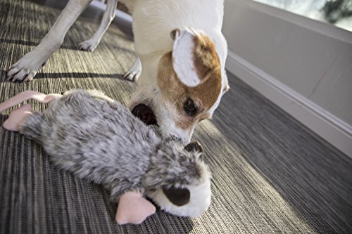 GoDog Flatz Opossom Toy with Chew Guard - //medicalbooks.filipinodoctors.org