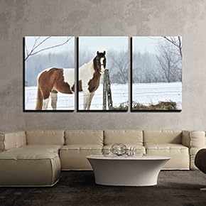 3 Piece Canvas Wall Art - Pinto and Hay - Modern Home Art Stretched and Framed Ready to Hang - 16"x24"x3 Panels