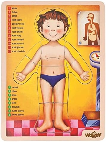 Woodyland "Human Body Puzzle (13-Piece)
