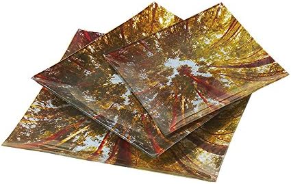Asian Tree Sushi Plate Set- 3 Square Glass Plates for Serving Appetizers, Dessert, &amp; Main Dishes-Microwave &amp; Dishwasher Safe Dinnerware-Great for Dinner Parties,Brunch, &amp; Fancy Meals-Enchanted Forest