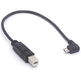 PIIHUSW Angled Micro USB OTG to Standard USB B Type Printer (25cm) | for Scanner HD Extension Hard Disk