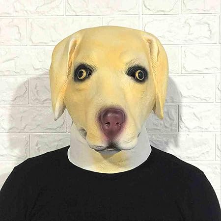 Gratuit Images Dsngz Halloween Labrador Chien Masque Couvre Chef Boule De actualisé salutations