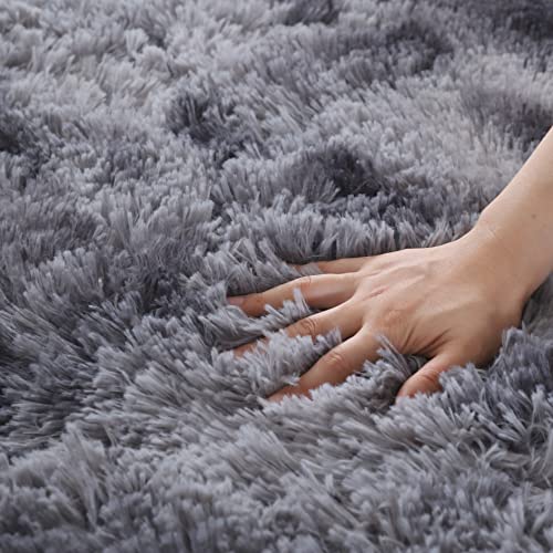 4X6 Feet Dark Gray Modern Area Rugs for Bedroom Living Room Ultra Soft Fluffy Throw Carpets for Girls Boys Kids Room Shaggy Fluffy Rugs (4X6Feet, Dark Gray)