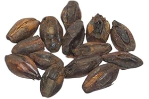 Brewmaster - GR605E Malt - Briess Chocolate - 5 lb