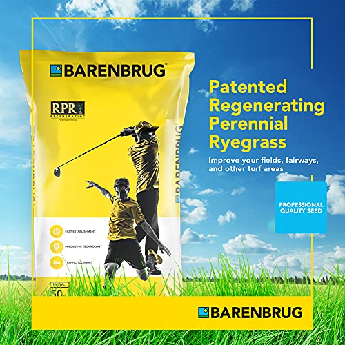 Barenbrug Turf Star Regenerating Perennial Ryegrass Grass Seed with
