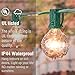 25FT G40 Globe String Lights with 25 Clear Bulbs, Outdoor Market Lights for Outdoor and Indoor Decoration, Garden, Party, Wedding, Pergola, Backyard, Umbrella, Patio Outdoor Light String, Green Wire