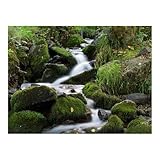 Cokin Z152 Neutral Density Filter (ND2X) (0.3) Z-Series