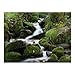 Cokin Z152 Neutral Density Filter (ND2X) (0.3) Z-Series