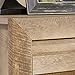 Sauder Dakota Pass Night Stand, Craftsman Oak finish