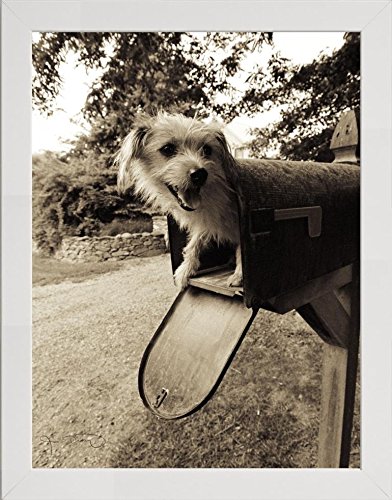 Frame Company Watson Range You ve Got Mail by Jim Dratfield, Frame - A5, White