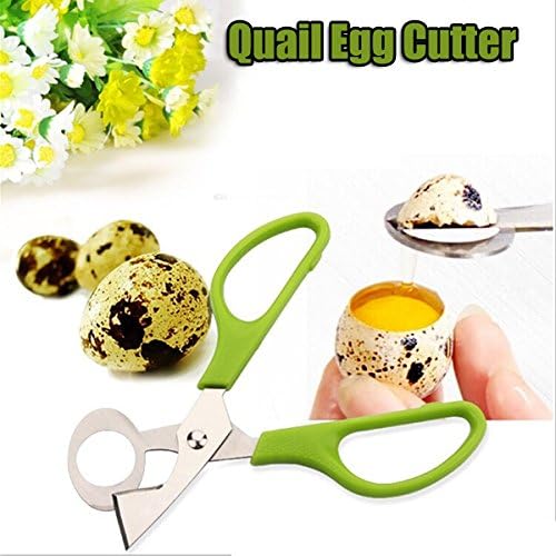 Pigeon Quail Egg Scissors Egg Cutter Egg Opener
