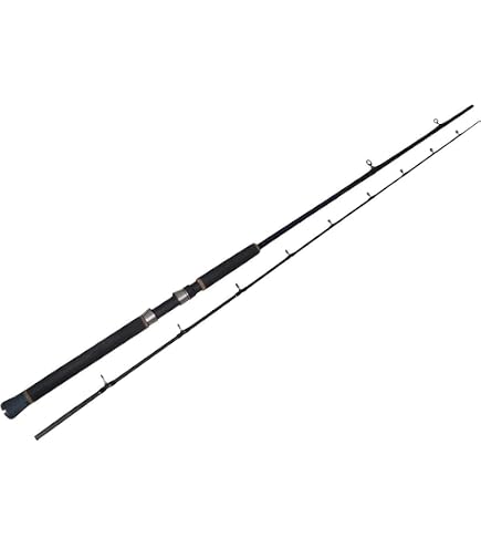 Okuma SST-S-902M-SE-CGa SST Special Edition a Rods, Gray, 9' M, Spinning  Rods - Amazon Canada