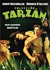 Tarzan and His Mate [and] Tarzan Finds a Son! (Double Feature Video)