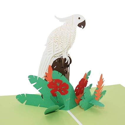 S So 3d Parrot Bird Pop Up Card Greetings Card Gift Thanking Cards For Friends Lovers