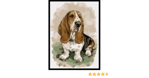 country corner bassets