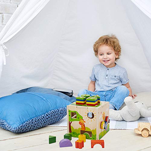 image for Flow.month Educational Wooden Activity Cube with Shape Color Recogniti