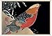 Pheasant on Snowy Bank Boxed Christmas Cards