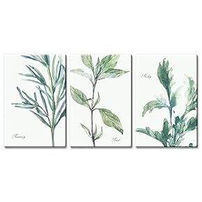 Rosemary Basil And Parsley - 3 Panel Canvas Art