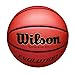 Wilson Evolution Indoor Game Basketball