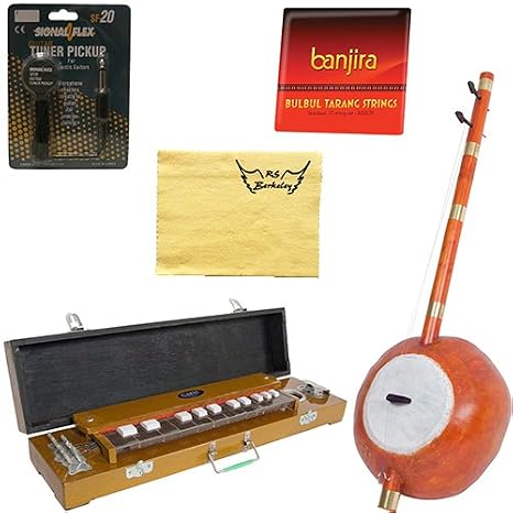 Amazon.com: Indian Folk Instrument Two Pack - banjira Bass Dotara