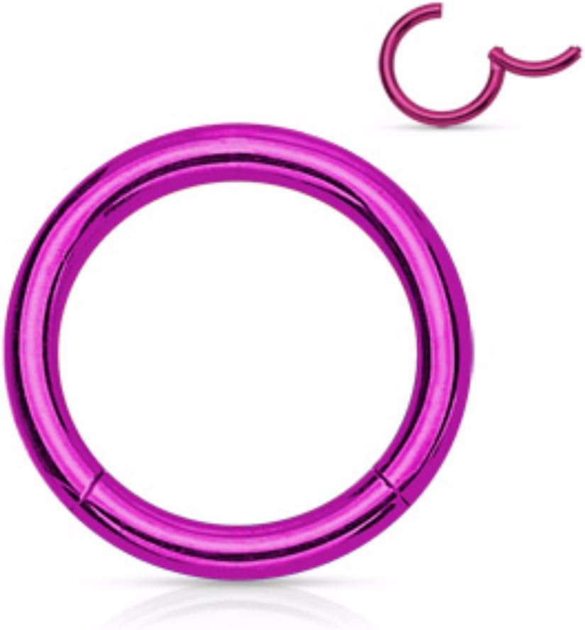 Hinged Seamless WildKlass Jewely Septum Clicker Ring 316L Surgical Steel (Sold Individually)