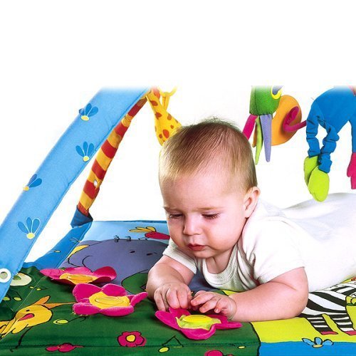 super deluxe baby gym