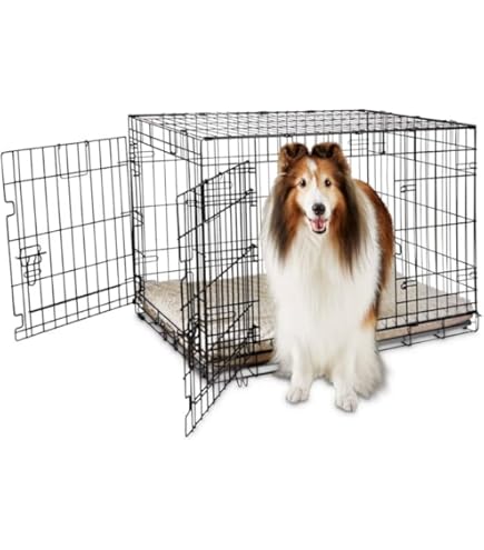 Amazon.com: EveryYay Happy Place Grey Blackout Dog Crate