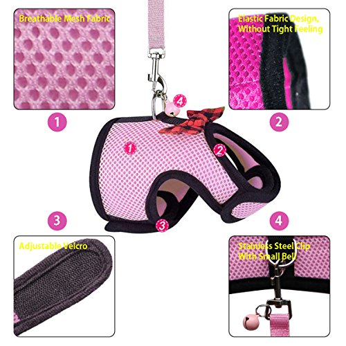 4 RYPET+Guinea+Pig+Harness+Leash