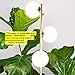 Brightech Sphere 3 LED Floor Lamp– Contemporary Modern Frosted Glass Globe Lamp with Three Lights- Tall Pole Standing Uplight Lamp for Living Room, Den, Office, Bedroom- Bulbs Included- Antique Brass