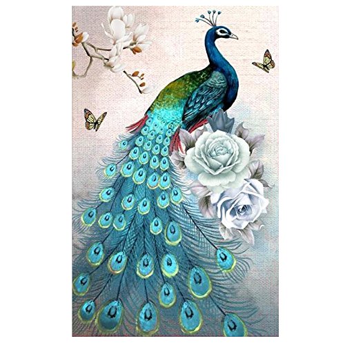Mikilon DIY 5D Diamond Painting by Number Kits, Full Drill Animal Embroidery Cross Stitch Arts Craft Canvas Wall Decor, Teal Peacock and White Rose with Branch and Butterfly, 14x20 Inch