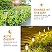SUNNEST Solar Garden Lights Outdoor 12 Pack, LED Solar Powered Pathway Lights, Stainless Steel Landscape Lighting for Lawn, Patio, Yard, Walkway, Driveway Warm White