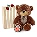 Giant Teddy Sunny Cuddles - 30
