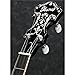 Ibanez B200 Banjo - Natural