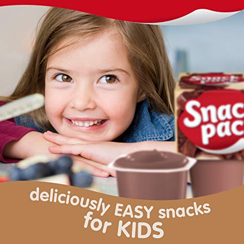 SNACK PACK PIE PUDDING CUPS, CHOCOLATE, PACK OF 4,13 OUNCE