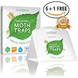 (7) Pantry Moth Traps Safe Non-Toxic Professional Pheromone Trap NO Insecticides Moth Busters (6 + 1 Free!)