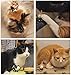 LRRH 5 Pcs Cute Kate Cat Doll Key Rings